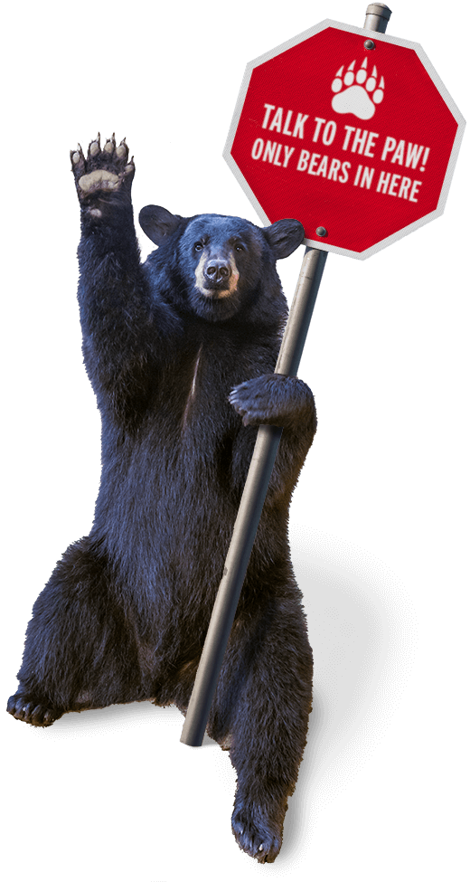 403-not-authorized-accelerate-baylor-university